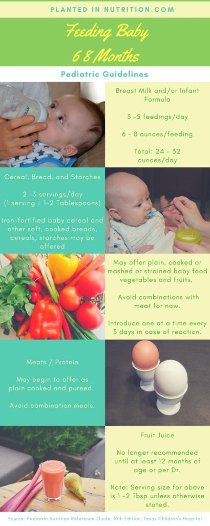 Quick Guide to Feeding 6 - 8 Month Olds / Handout - Well Resourced ...