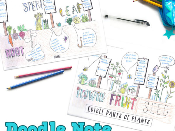 Content preview of Edible Parts of Plants Doodle Note.