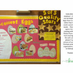 Excellent Eggs