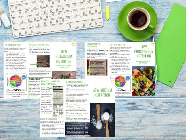 Chronic Kidney Disease Patient Education Bundle - Well Resourced Dietitian
