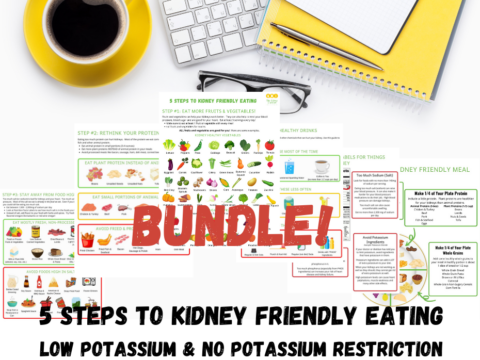 Basic CKD Comprehensive Diet Education Bundle - Well Resourced Dietitian