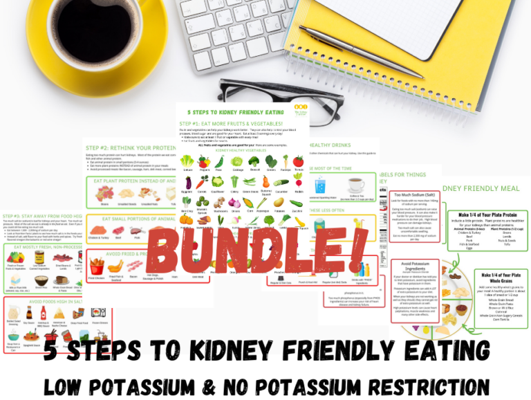 Basic CKD Comprehensive Diet Education Bundle - Well Resourced Dietitian
