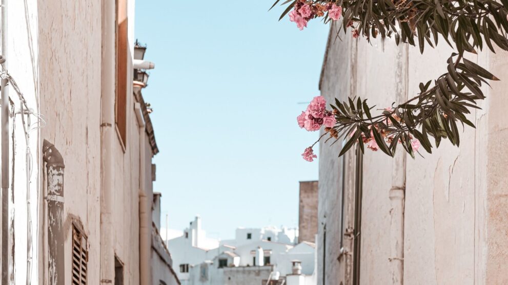 The Best Unconventional Jobs for Dietitians: Think Outside the Clinical Box!