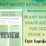 Content preview of Plant-Based Snack Ideas for CKD stage 3-5.