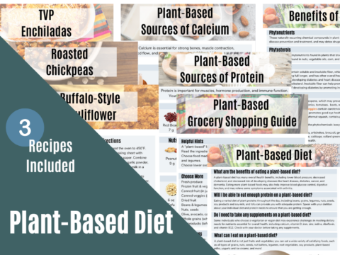 Plant Based Diet - Well Resourced Dietitian