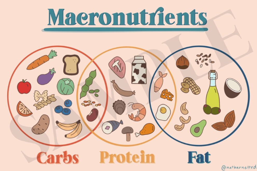 Macronutrients Diagram - Well Resourced Dietitian
