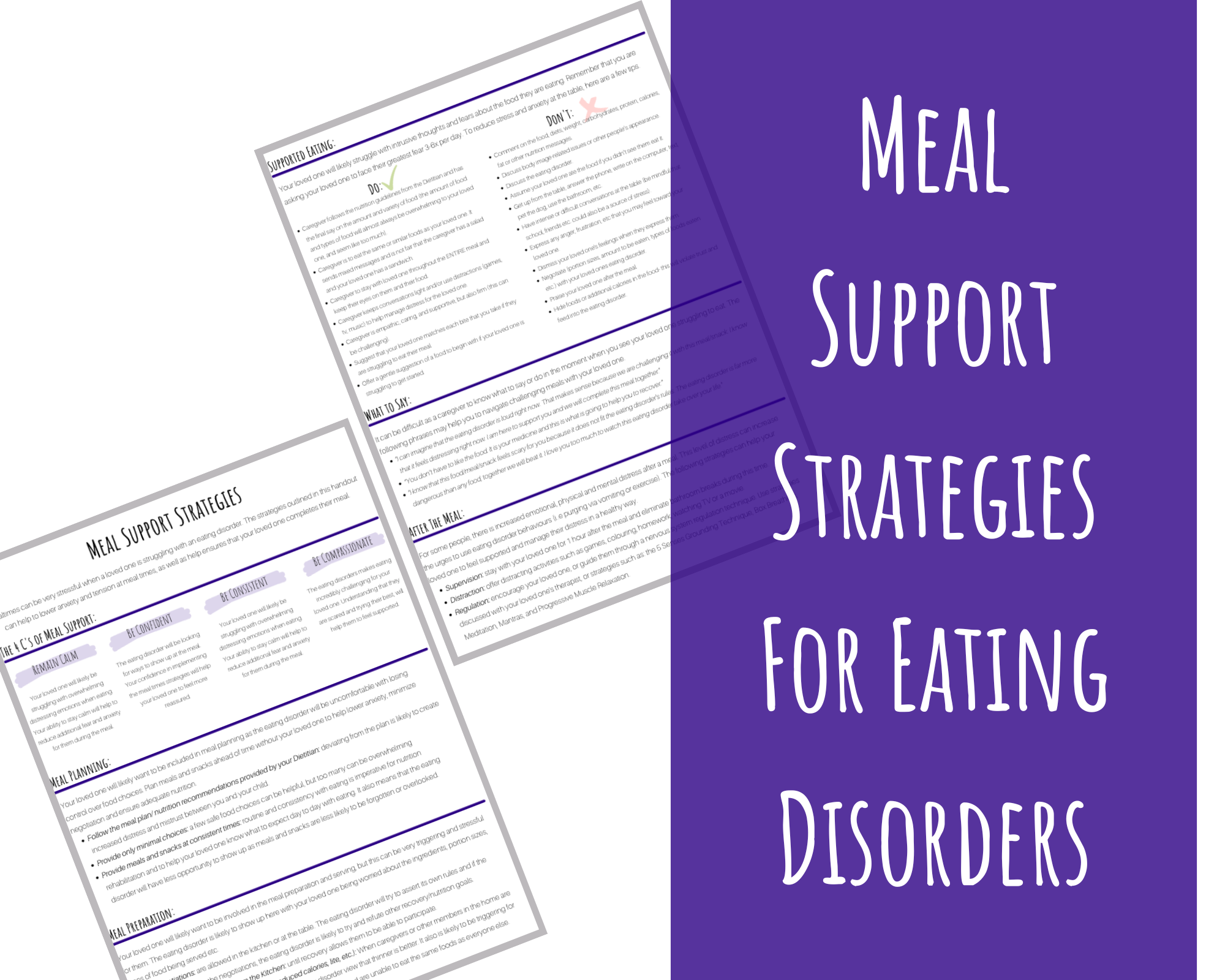Meal Support Strategies for Eating Disorders Well Resourced Dietitian