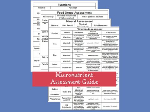 Micronutrient Assessment Guide - Well Resourced Dietitian