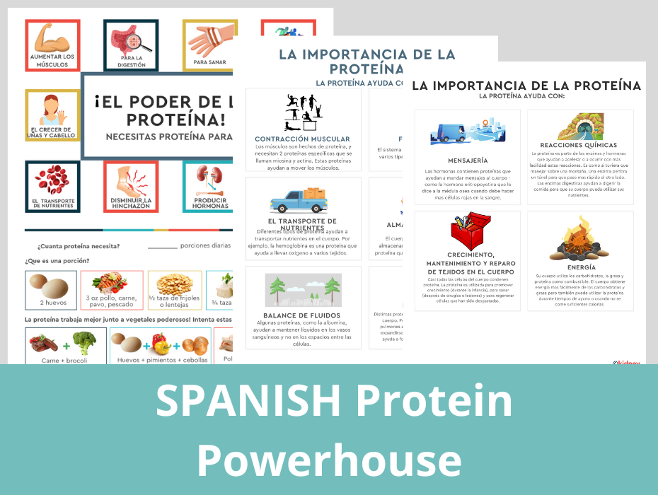 SPANISH Protein Powerhouse Handout for Renal Diet Well Resourced