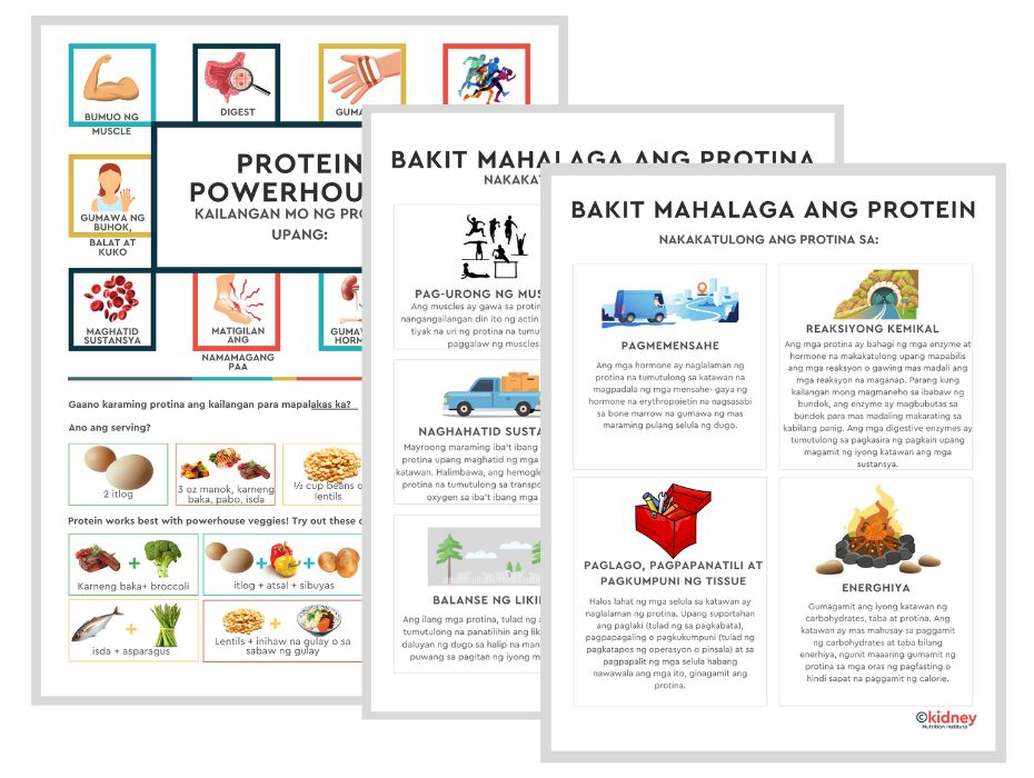 TAGALOG Protein Powerhouse Handout Well Resourced Dietitian