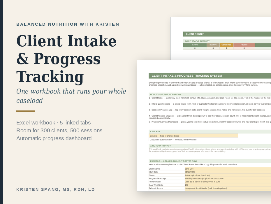 Client intake and progress tracking Excel workbook, tab previews