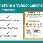 Colorful infographic titled 'What's in a School Lunch?' explaining the National School Lunch Program's 5 parts of a healthy school lunch: veggies, fruits, grains, protein, and milk. Includes a 'Build Your Tray' illustration showing a lunch tray and instructions to pick at least 3 food groups, including a fruit or veggie. Ends with messaging that school lunch helps kids focus in class, have energy to play, and stay healthy.